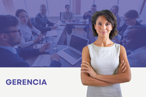 reportes de energia para gerentes