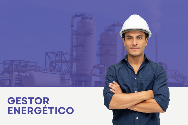 software para gestor energetico