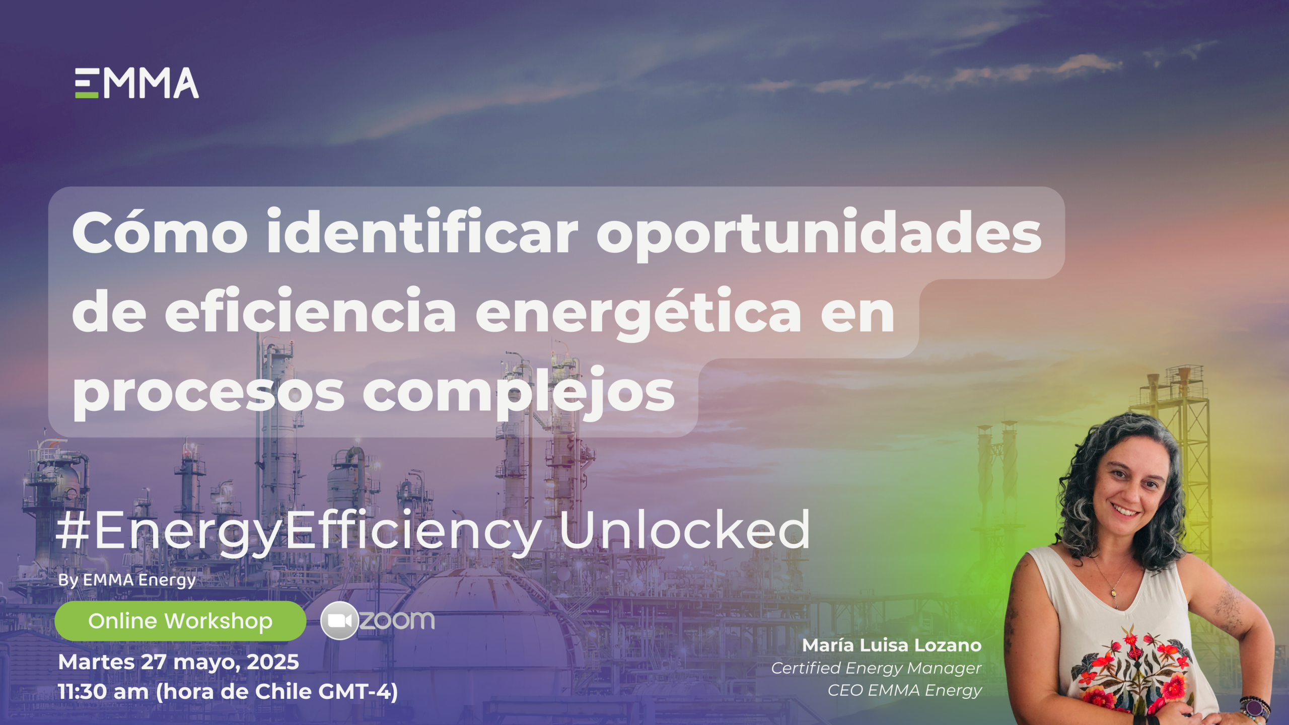 Workshop “Cómo identificar oportunidades de eficiencia energética en procesos complejos”